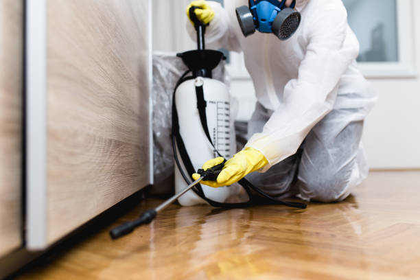 Best Insect Control  in Hernando, MS