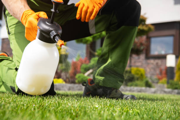 Best Best Pest Control Companies  in Hernando, MS