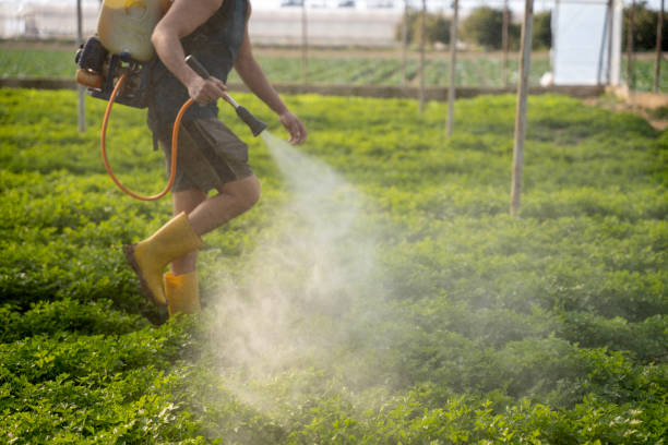 Best Pest Prevention Services  in Hernando, MS